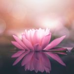 Εκπαίδευση στην Εσωτέρα Ψυχολογία και τον Αποκρυφιστικό Διαλογισμό 2024-2025