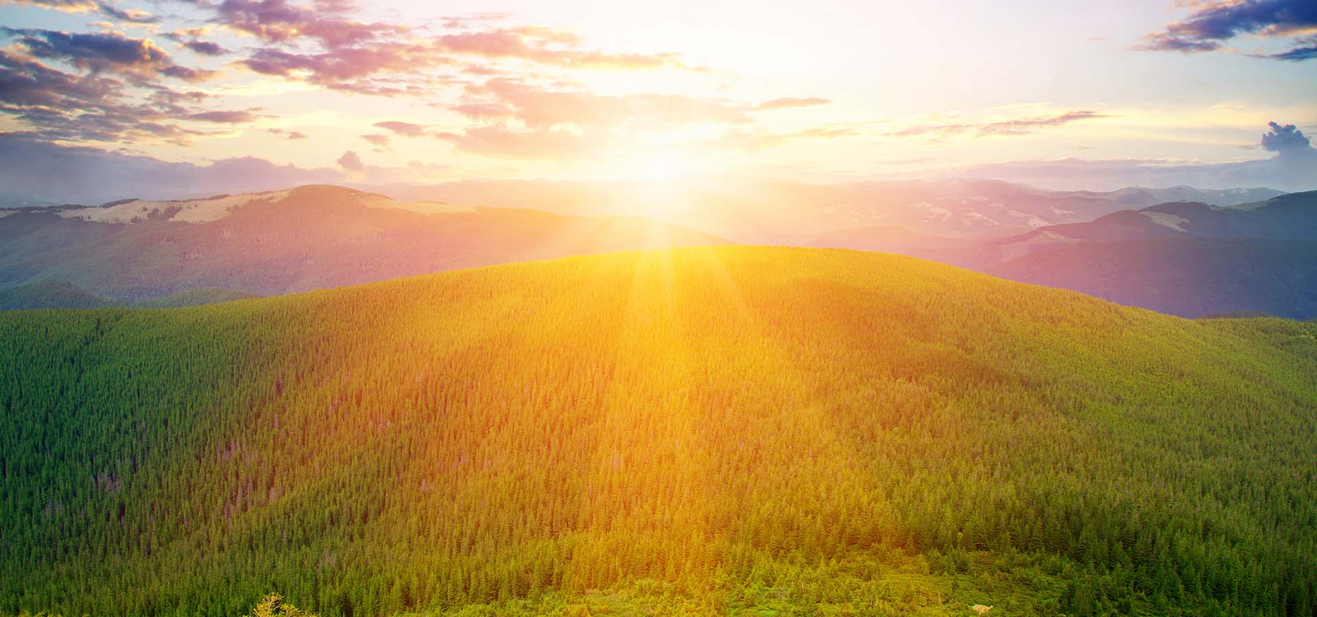 Διαλογισμός για το Φεστιβάλ στην Πανσέληνο του Τοξότη 2025