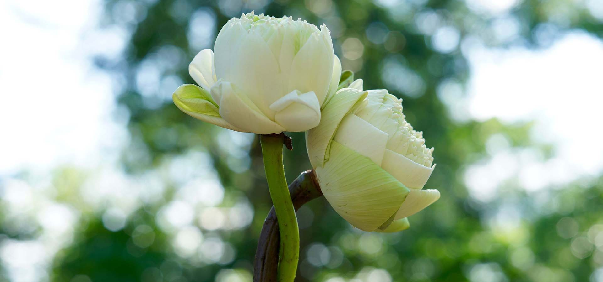 Νέος Κύκλος Σεμιναρίων Προσωπικής Ανάπτυξης και Εσωτερικής Διδασκαλίας για την Αληθινή Σημασία του Σεξ